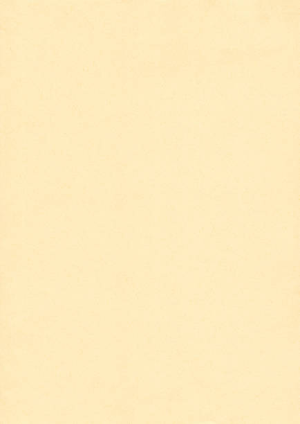 istock White paper texture. White paper background. 881598356