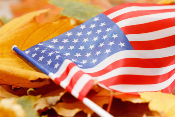 istock autumn background with colored leaves 881598558