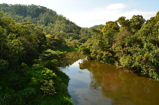 View from the top of the river, bordered by the Atlantic Forest