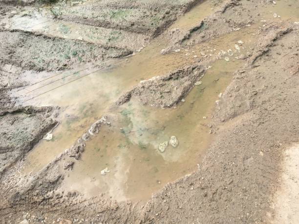 istock wheel track on dirt soil texture after rainning 881604246