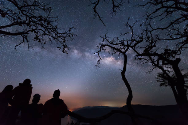 istock Silhouette tree against the milky way in a dark sky. 881604858
