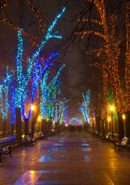 istock Christmas illumination on downtown street 881607246