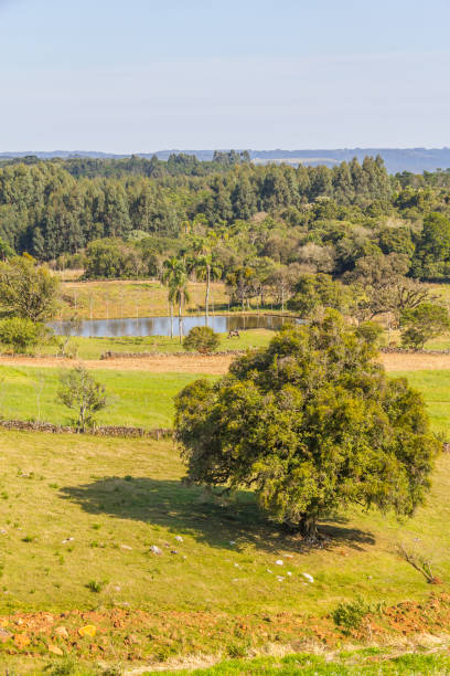 istock Lake, Forest and mountains in Gramado 881616892