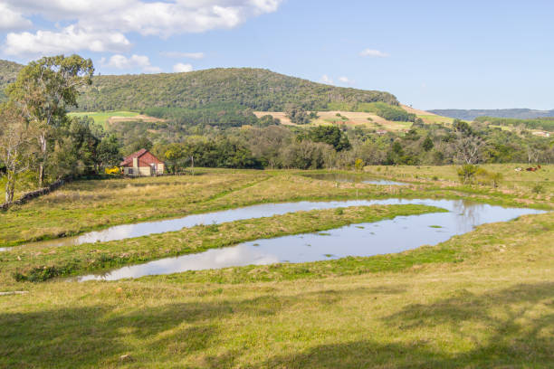 istock Farm, Lake, Forest and mountains in Gramado 881616998