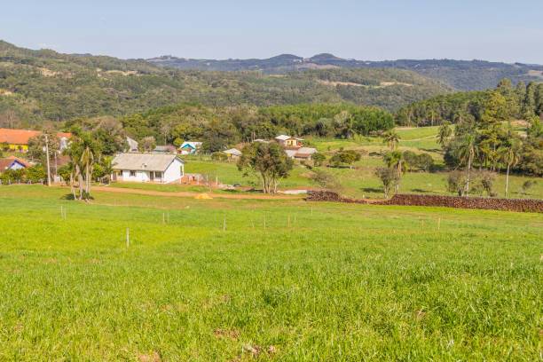 istock Farm, Forest and mountains in Gramado 881617384