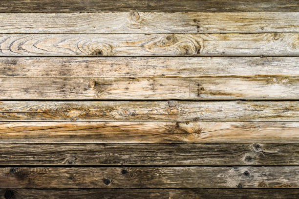 Old weathered brown barn wood wall. Wooden wall background design. Wood planks, boards are old with a beautiful rustic look.