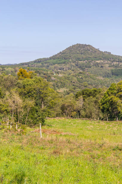 istock Farm, Forest and mountains in Gramado 881617672