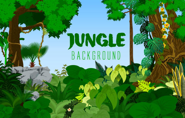 jungle rainforest background. Vector illustration jungle rainforest background. Vector illustration amazon forest stock illustrations