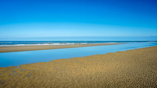 istock Walking along the Schiermonnikoog coastline on a summer afternoon (Netherlands) 881634946