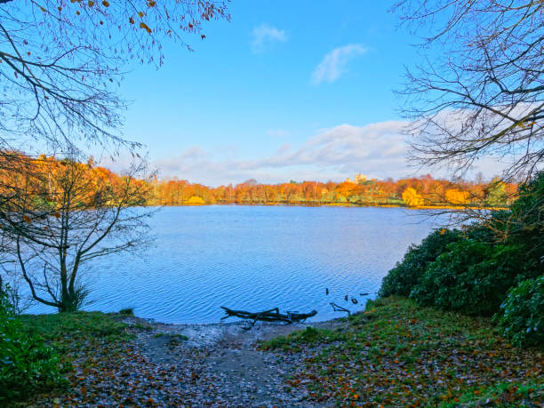 Wollaton lake on a bright autumn day.