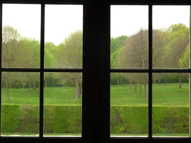 istock Trees behind a window, castle of Vaux le Vicomte 881635594