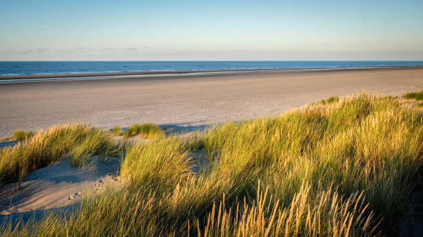 istock The sun is setting on the beach of Schiermonnikoog (Netherlands) 881635818
