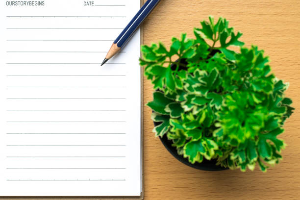 istock Notepad on tree blurry on wood background.using wallpaper for education, business photo.Take note of the product for book with paper and concept, object or copy space. 881638402