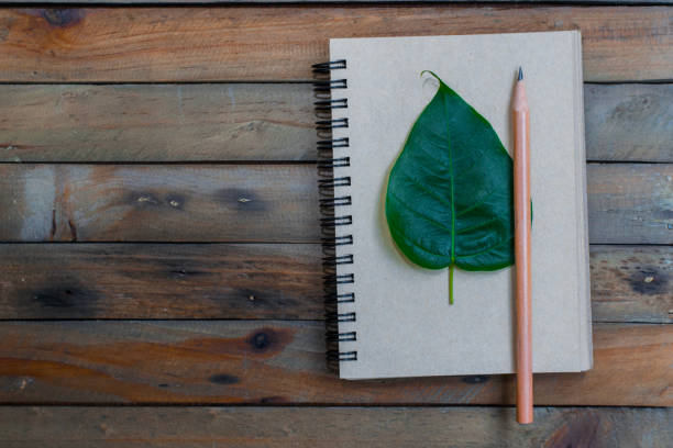 istock Notepad with leaf on wood board background.using wallpaper for education, business photo.Take note of the product for book with paper and concept, object or copy space 881638406