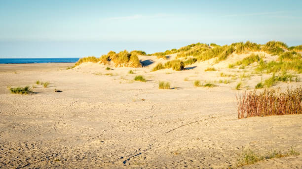 istock The sun is setting on the beach of Schiermonnikoog (Netherlands) 881639088