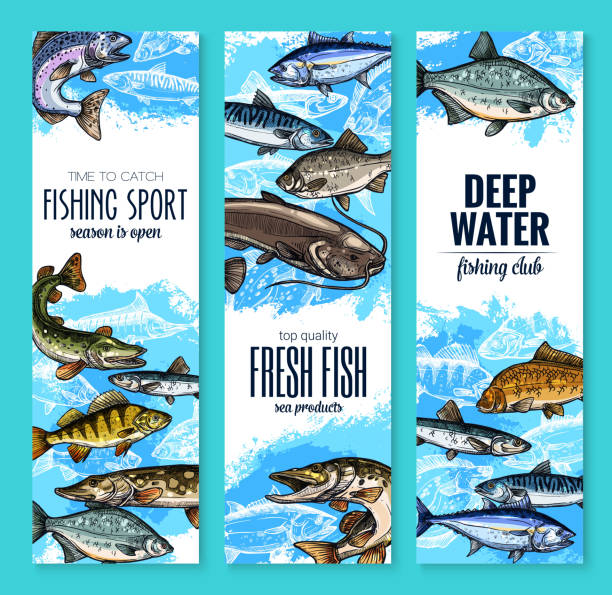 frischfisch-banner für meeresfrüchte und fischen design - fischen stock-grafiken, -clipart, -cartoons und -symbole