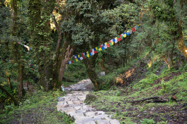 istock Annapurna sanctuary trek 881645244