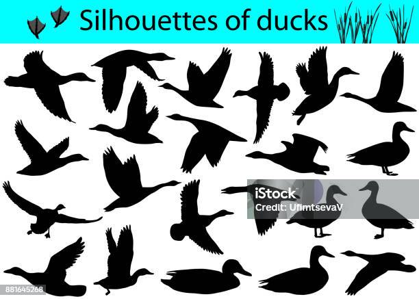 Silhouettes Of Ducks Stock Illustration - Download Image Now - Duck - Bird, In Silhouette, Flying