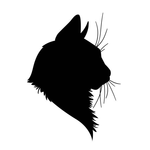 Cat head silhouette. Vector illustration in monochrome style on white background. Cat head silhouette. Vector illustration in monochrome style on white background. Element for your design. Black shape  of pet muzzle. Fluffy fur. Stencil. Profile. black cat stock illustrations