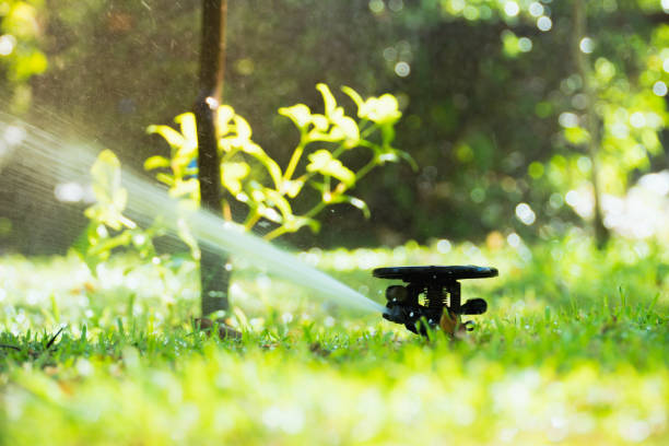 istock Automatic sprinkler watering in the garden 881649414