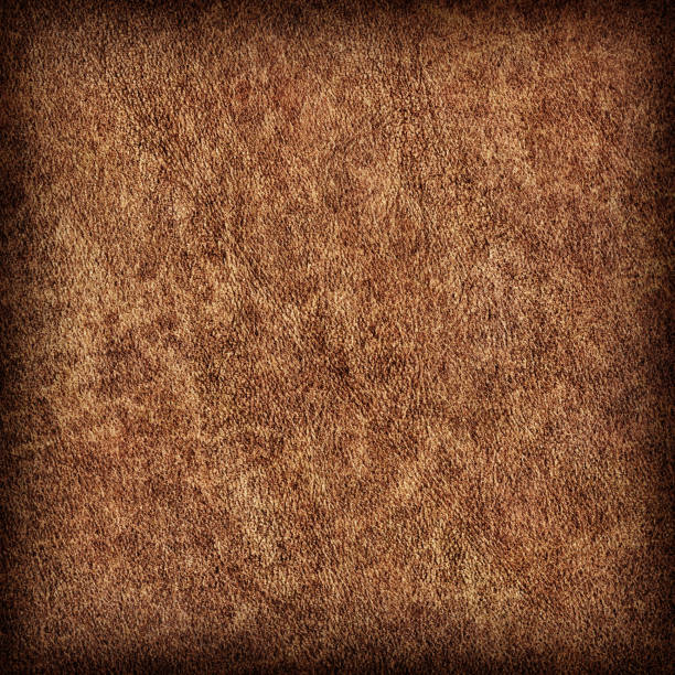 istock High Resolution Antique Cowhide Crumpled Coarse Vignette Grunge Texture 881654448