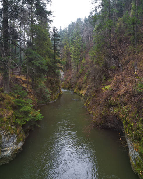 istock Hornad River, Slovak Paradise, Slovakia 881654670