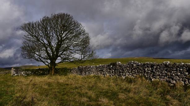 istock Dramatic Sky in the Yorkshire Dales National Park, UK 881664118