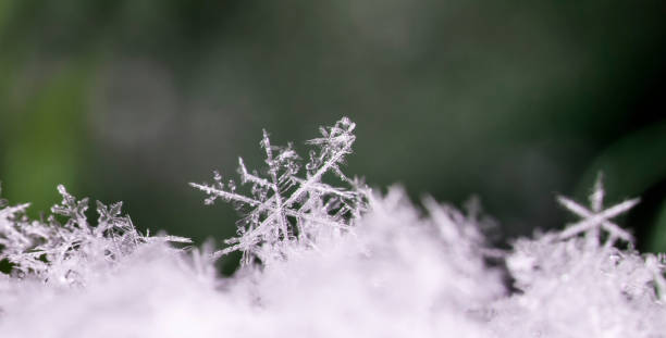 istock natural snowflakes on snow 881664214