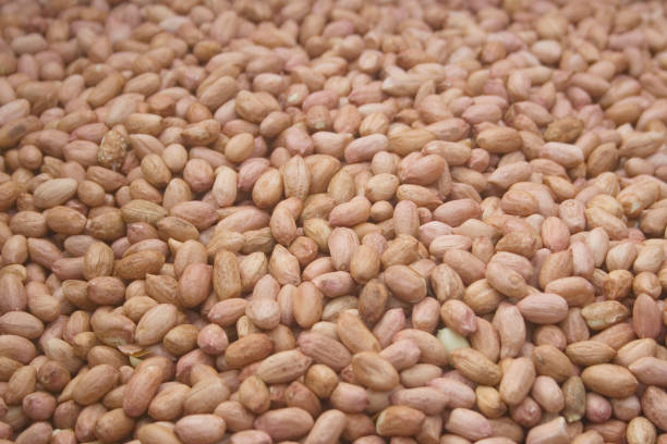 peanut pile closeup - arachis hypogaea fotos imagens e fotografias de stock