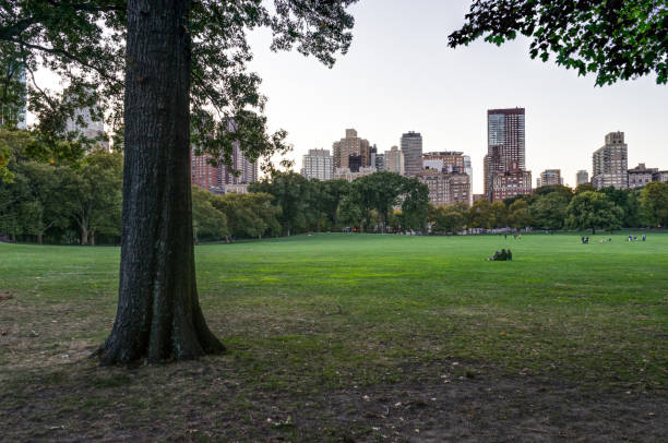istock New York Central Park with Skyline View Sunset trees clouds 881671930