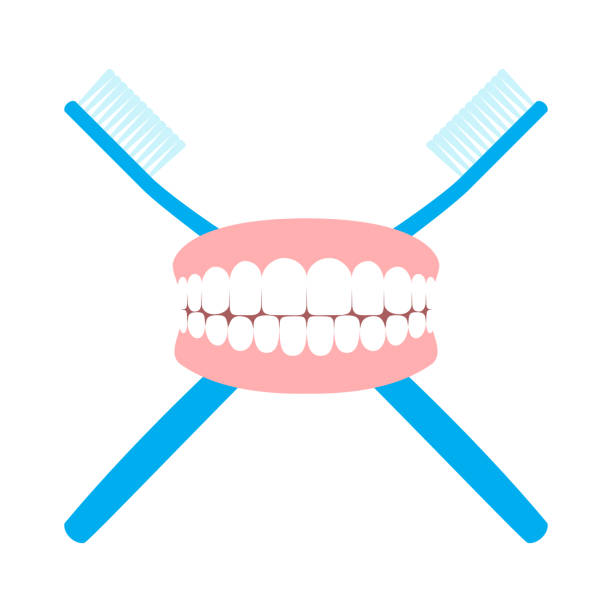 Toothbrushes And Teeth vector art illustration