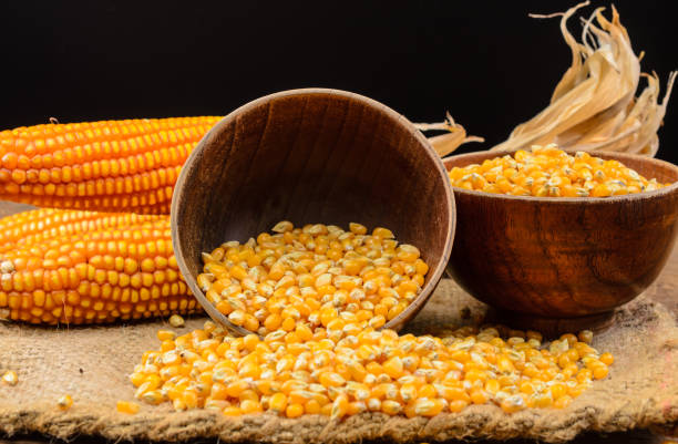 istock Dried corn seed in wooden bowl on wooden table 881680622