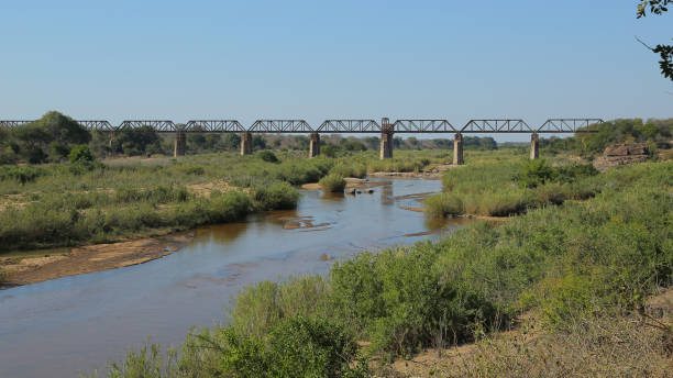 istock Skukuza in Kruger National Park 881687120