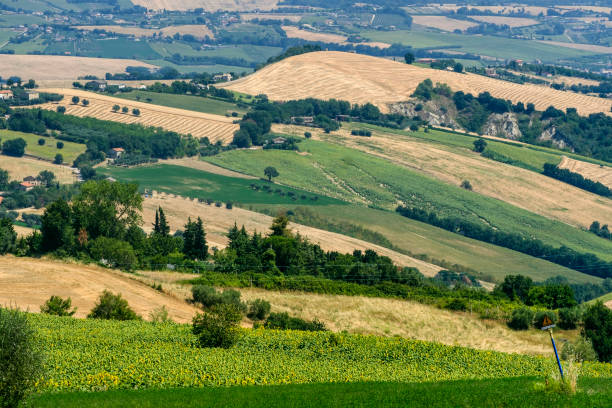 istock Summer landscape near Monterubbiano (Fermo, Marches) 881693126