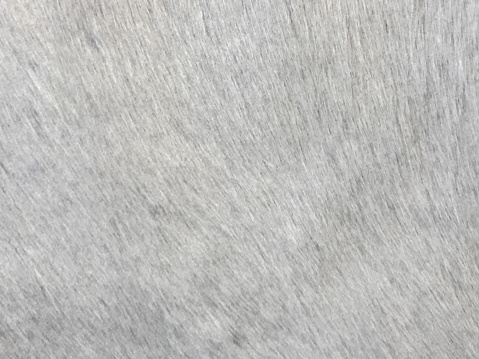 Gray cowhide textured leather