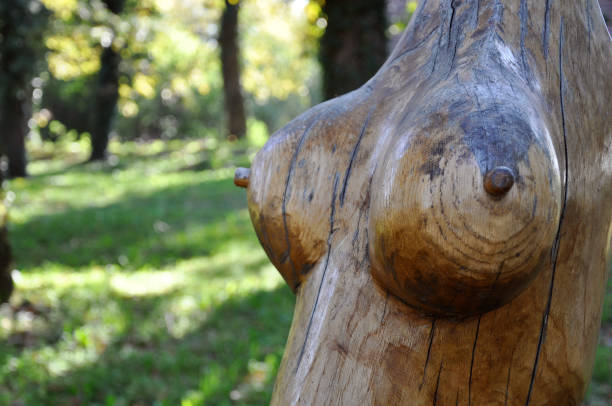istock Boobs of wooden statue 881699952