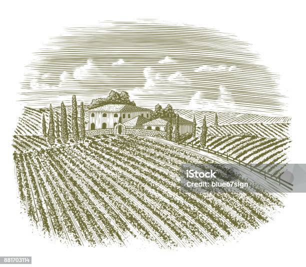 Gravure Sur Bois Vintage Vignoble Italien Vecteurs libres de droits et plus d'images vectorielles de Vignoble - Vignoble, Objet gravé, Illustration