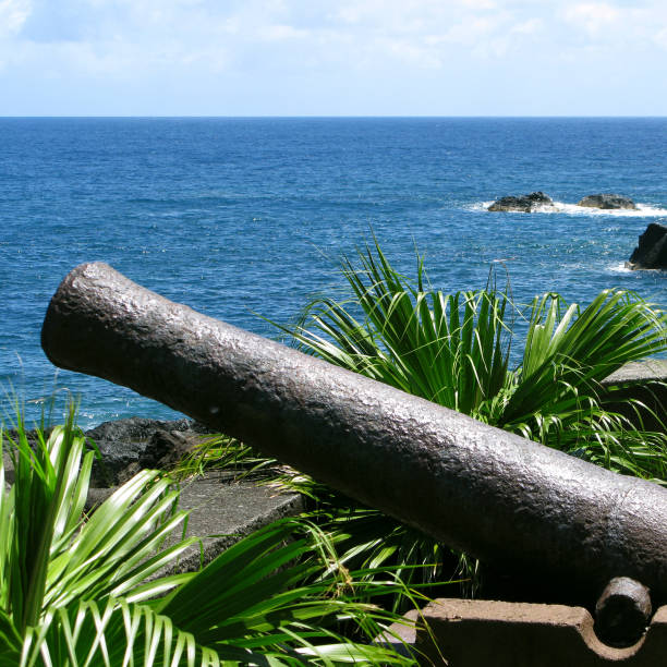 istock La Reunion: Old cannon at the harbor wall 881707530