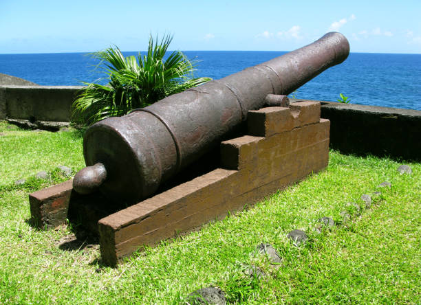 istock La Reunion: Old cannon at the harbor wall 881707556