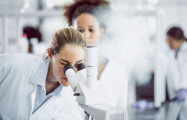 mujer científico mirando a través de un microscopio - science innovation microscope healthcare and medicine fotografías e imágenes de stock