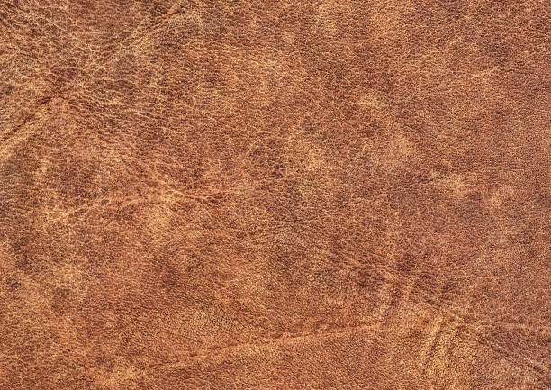 istock High Resolution Antique Brown Cowhide Coarse Crumpled Wizened Grunge Texture 881718786