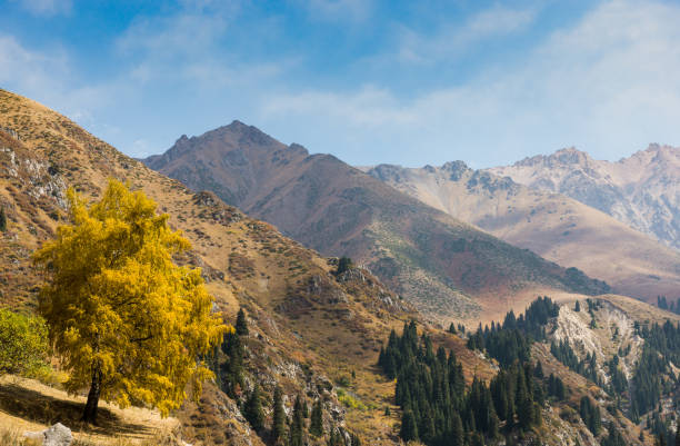 istock Landscape in the mountains 881718864