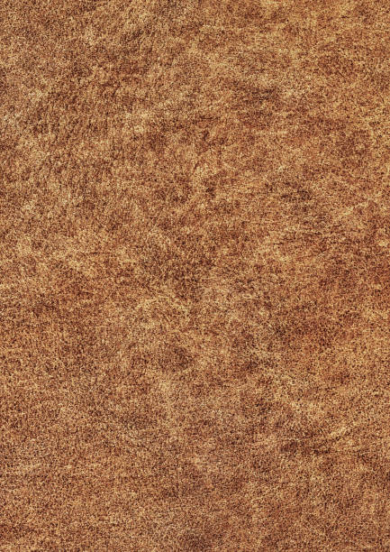 hohe auflösung antik braun rindleder grob zerknittert runzligen grunge textur - surface level full frame large obsolete stock-fotos und bilder