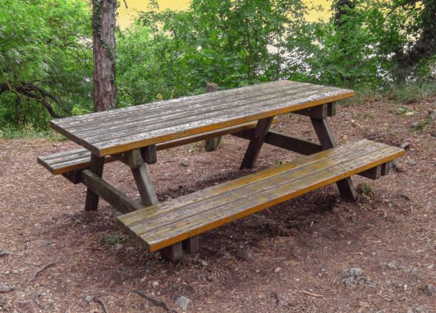 istock Wooden table in the forest 881722842