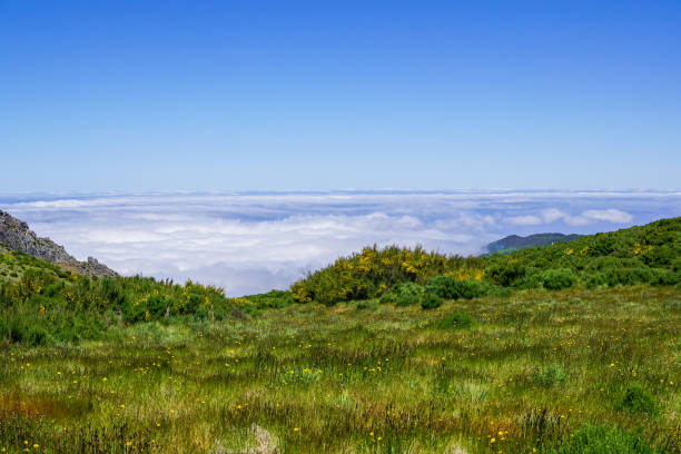 istock Pico de Arieiro, Madeira, Portugal 881728406