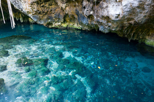istock Grand Cenote, Tulum Mexico 881728706