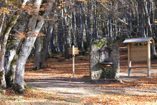istock Small fountain in the woods 881734444