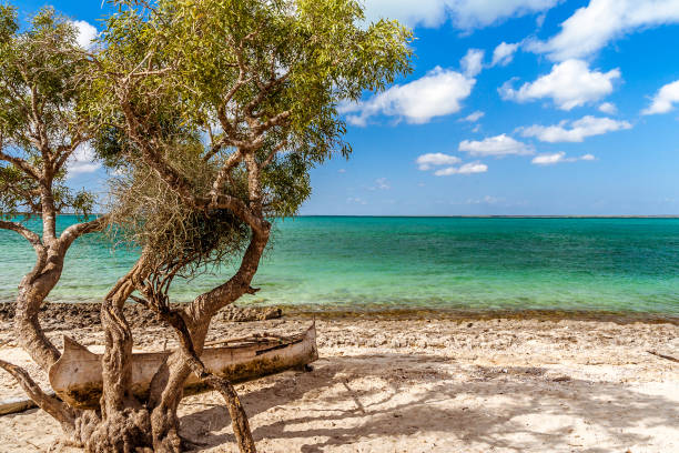 istock Andavadoaka lagoon, Madagascar 881737942