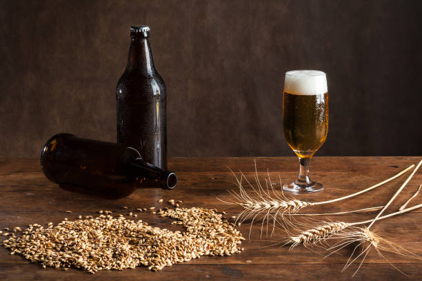 vaso de cerveza sobre la mesa, con malta de trigo, cebada y botellas - mug beer barley wheat fotografías e imágenes de stock