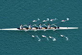 Male Quadruple Scull Rowing Team At the Race, Lake Bled, Slovenia